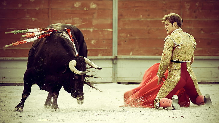 matador y toro, España, toro, torero, Fondo de pantalla HD