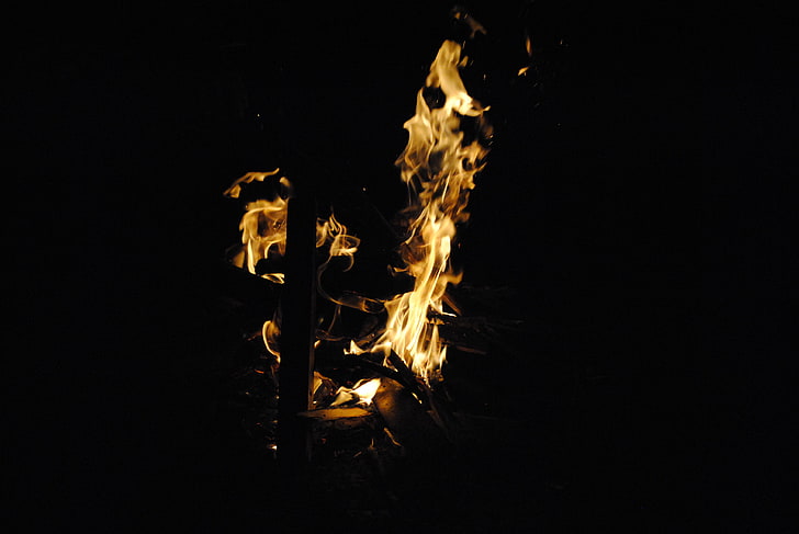 api, malam, kayu, terbakar, Wallpaper HD