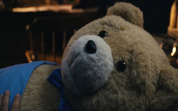 bears, funny, movies, ted, teddy, HD wallpaper