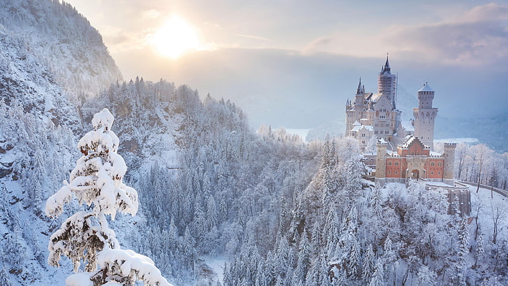 mañana, paisaje, castillo, Alemania, Baviera, castillo de Neuschwanstein, luz solar, Alpes, nube, durante el día, invierno, montaña, cordillera, Formaciones montañosas, árbol, punto de referencia, escarcha, congelación, cielo, nieve, Fondo de pantalla HD