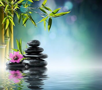 black stones, flower, water, stones, bamboo, orchid, reflection, spa, zen, HD wallpaper HD wallpaper