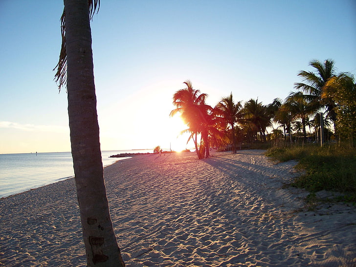 florida keys beach sunrise, HD wallpaper