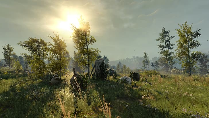 The Witcher 3: Wild Hunt, stones, forest, Sunny, HD wallpaper