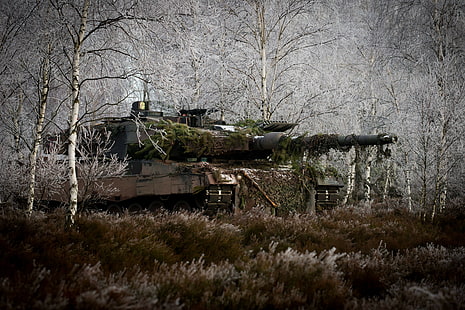 swamp, military, vehicle, tank, Leopard 2, Bundeswehr, HD wallpaper HD wallpaper