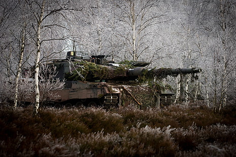戦車、ヒョウ2、ドイツ連邦軍、沼地、軍隊、車両、 HDデスクトップの壁紙 HD wallpaper