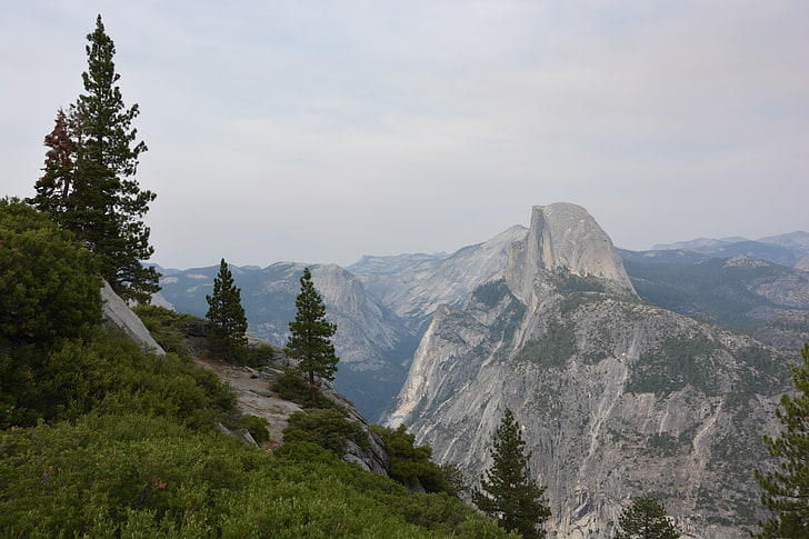 grüne Bäume und Berge, USA, Bäume, Berge, Natur, Landschaft, HD-Hintergrundbild