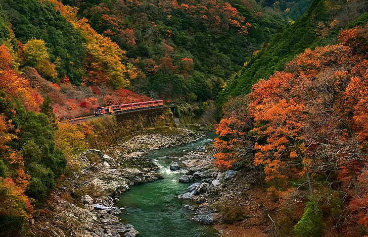 river, nature, landscape, train, river, mountains, forest, fall, canyon, Japan, colorful, HD wallpaper