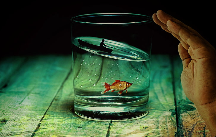clear glass cup, glass, fish, fisherman, photoshop, HD wallpaper
