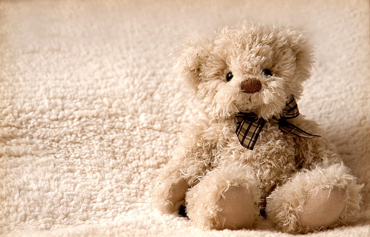 beige bear plush toy, toy, teddy bear, teddy, HD wallpaper