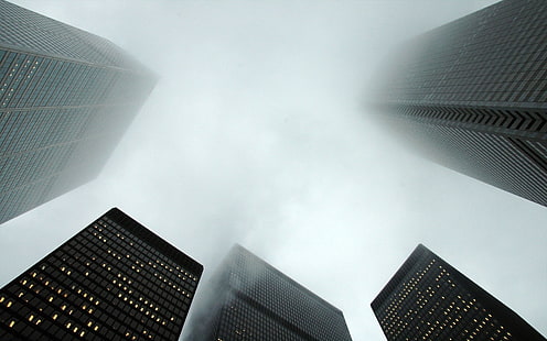 bangunan tinggi, arsitektur, Toronto, pandangan mata cacing, pencakar langit, kabut, kota, bangunan, Wallpaper HD HD wallpaper