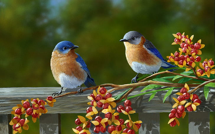Красива двойка цветни птици, птици, двойка, животни, цветни, цветя, HD тапет