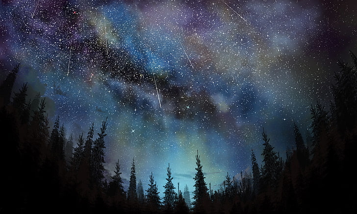 แสงออโรร่า, ท้องฟ้า, ดาว, อุกกาบาต, กลางคืน, ต้นไม้, วอลล์เปเปอร์ HD