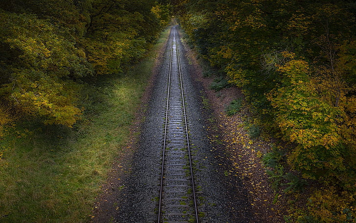 railway, autumn, plants, Nature, HD wallpaper