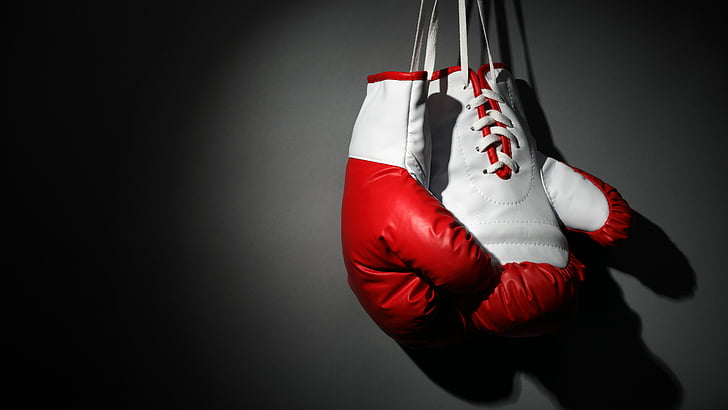 white-and-red leather training gloves hanging, Boxing gloves, red, white, boxing, HD wallpaper