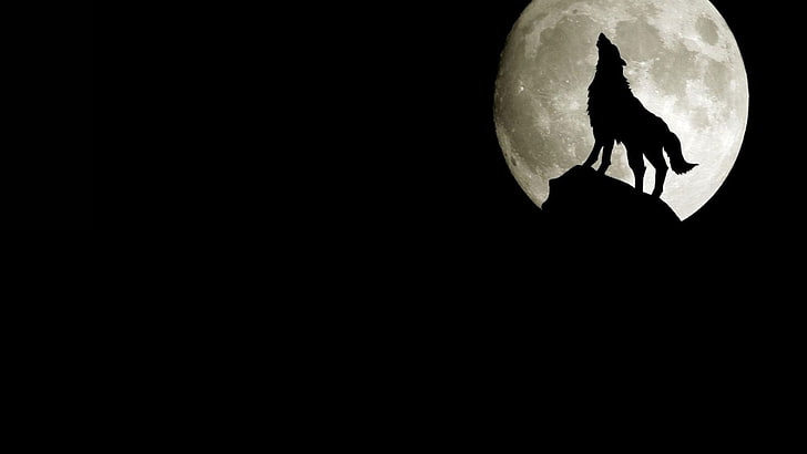 moon black background wolves 1920x1080  Space Moons HD Art , Moon, black background, HD wallpaper