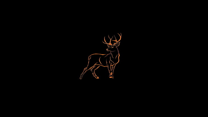 deer, wildlife, HD wallpaper