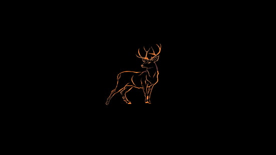 deer, wildlife, HD wallpaper HD wallpaper
