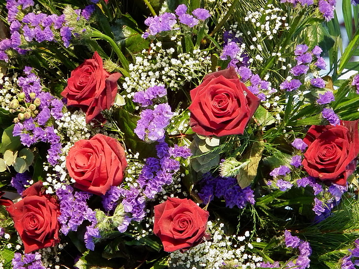 kırmızı güller ve mor petaled çiçekler, güller, çiçekler, buket, gypsophila, güzellik, HD masaüstü duvar kağıdı