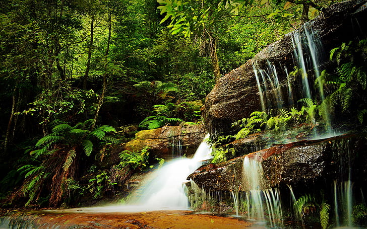 Abkhazia Waterfall Village Chernigovka Piccolo ruscello di montagna Vegetazione tropicale Felce Rocce Muschio verde Sfondo desktop HD 3840 × 2400, Sfondo HD