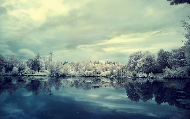 weiße Bäume, See, Winter, Schnee, Bäume, Natur, Landschaft, Stromleitungen, HD-Hintergrundbild