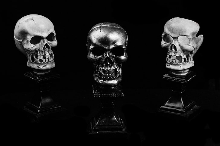 500px, skull, dark, HD wallpaper