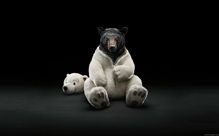 Черна мечка в костюм на бяла мечка, плюшена играчка на бяла и черна мечка, забавление, животно, мечка, костюм, HD тапет