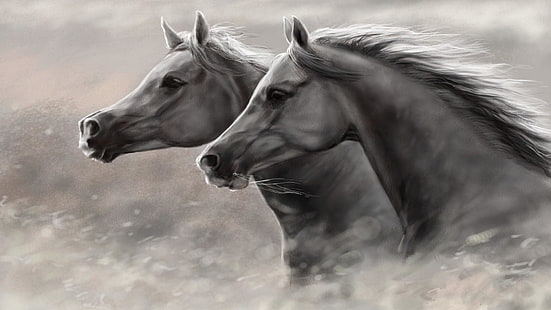 horse, mane, black and white, mustang horse, artwork, stallion, artistic, wildlife, art, painting, monochrome, HD wallpaper HD wallpaper
