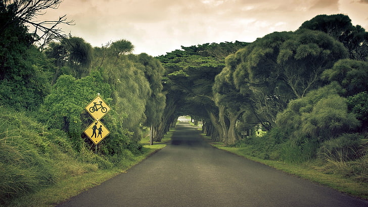 yellow and black signage, road, trees, signs, highway, landscape, sign, HD wallpaper