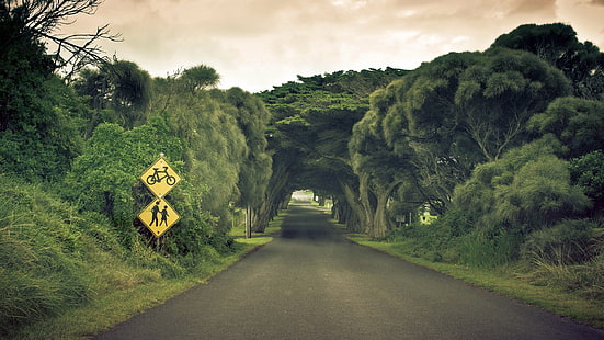 señalización amarilla y negra, camino, árboles, signos, carretera, paisaje, signo, Fondo de pantalla HD HD wallpaper
