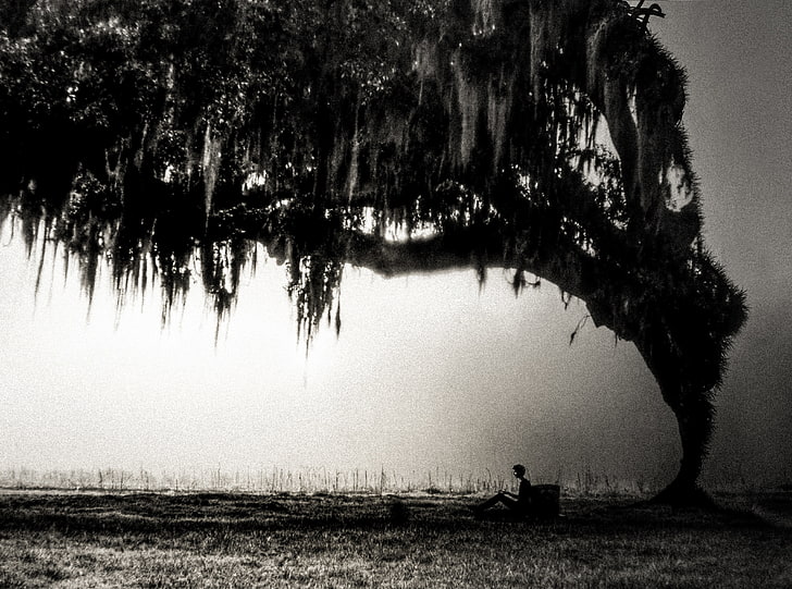 Nightmare Dream HD Wallpaper, man sitting under tree, Black and White, Dark, Photoshop, Dream, Tree, Feeling, Lonely, Artwork, Fear, Creepy, Thoughts, canon, nightmare, Eerie, atmosphere, Depression, negative, frightening, filmgrain, HD wallpaper