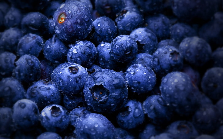 blueberry lot, bunch of blueberries, food, fruit, blueberries, wet, macro, water drops, HD wallpaper