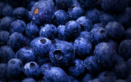 blueberry lot, bunch of blueberries, food, fruit, blueberries, wet, macro, water drops, HD wallpaper HD wallpaper