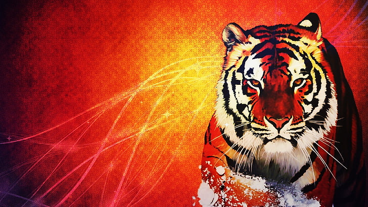 тигр, апельсин, животные, живая природа, HD обои