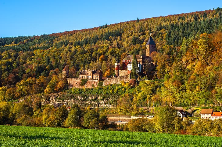 autumn, castle, Germany, Baden-Wurttemberg, Zwingenberg, The Castle Of Zwingenberg, HD wallpaper