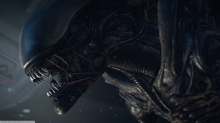 Alien (film), H. R. Giger, Fond d'écran HD