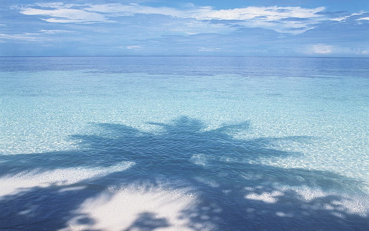 body of water, palm tree, shadow, gulf, water, horizon, HD wallpaper