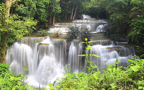 ประเทศไทย, ป่าเขา, แม่น้ำ, น้ำตก, สตรีม, ต้นไม้, น้ำตกและหญ้าสีเขียว, ประเทศไทย, ป่า, ป่า, แม่น้ำ, น้ำตก, ลำธาร, ต้นไม้, วอลล์เปเปอร์ HD HD wallpaper