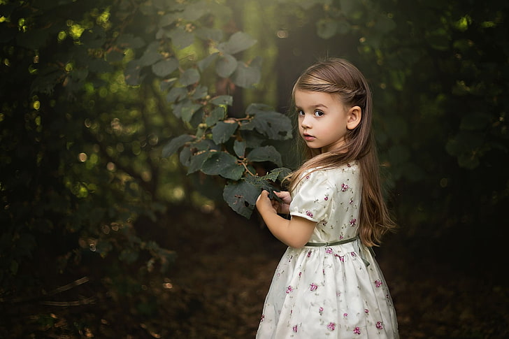 Fotografia, Criança, Bonito, Vestido, Floresta, Menina, Árvore, HD papel de parede