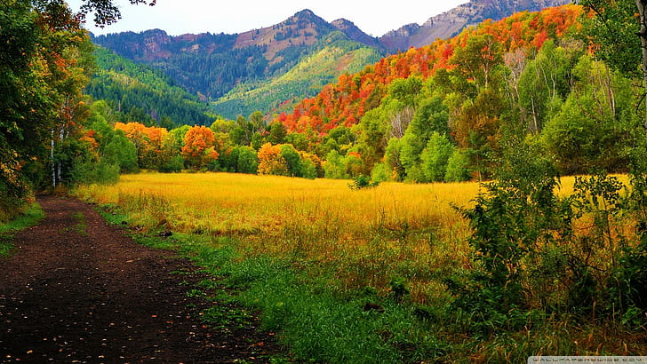 Прово Каньон Юта Осенью, лес, дорога, горы, каньон, осень, природа и пейзажи, HD обои