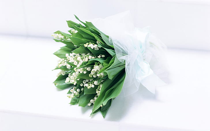 Purity Perfume, green-and-white bouquet of flowers, purity, perfume, HD wallpaper