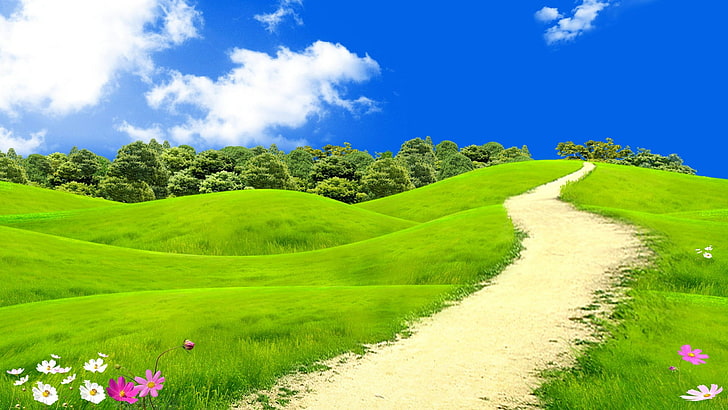fields, sky, grassland, nature, blue sky, meadow, footpath, field, hill, pasture, path, daytime, flowers, grass, HD wallpaper