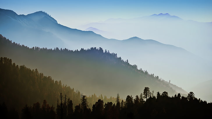 silhuett av berg, skog, himmel, rökiga berg, dimma, silhuett, HD tapet