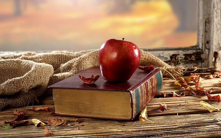 Livro Apple deixa seco outono, livro, maçã, folhas, outono, HD papel de parede