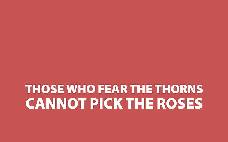 Those whose fear the thorns cannot pick the roses, quote, simple background, minimalism, typography, HD wallpaper