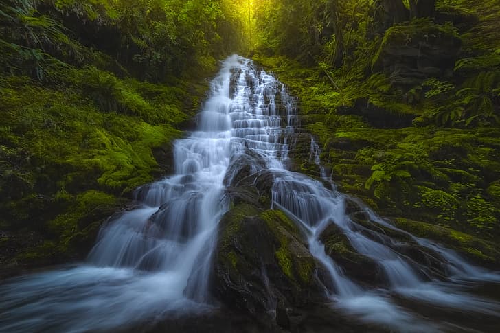 forest, waterfall, cascade, Washington State, Washington, Staircase Falls, HD wallpaper