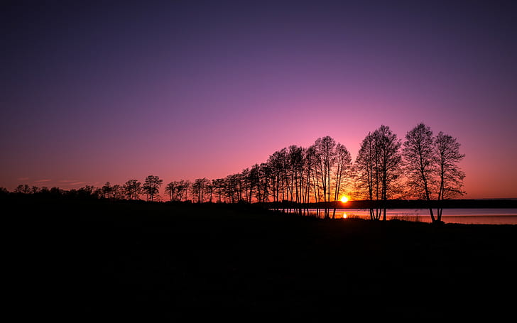 landscape, nature, silhouette, trees, clear sky, sunset, evening, lake, HD wallpaper