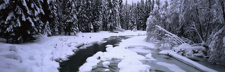 hielo, río, bosque, nieve, árboles, Fondo de pantalla HD