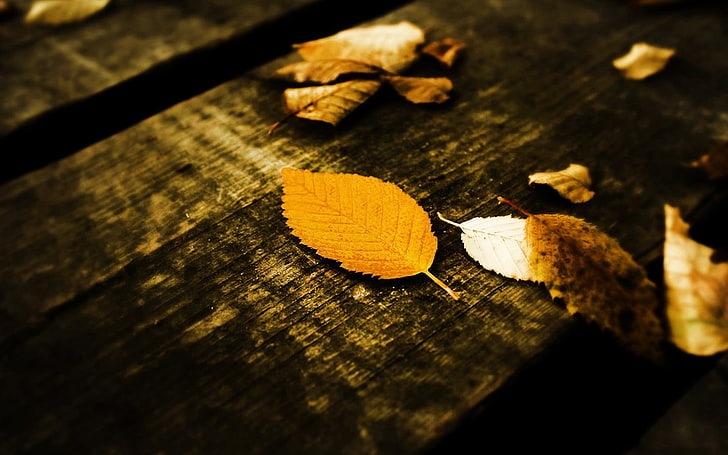 schwarzer und brauner Holztisch, Blätter, Holzoberfläche, HD-Hintergrundbild