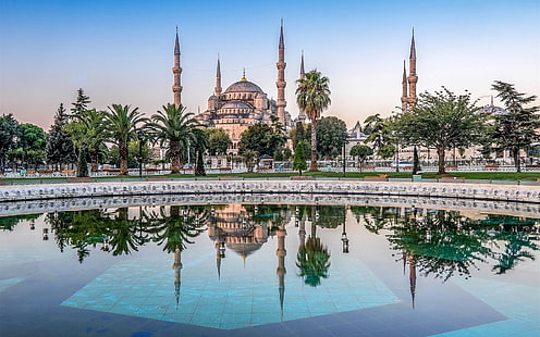 Синя джамия, джамия на султан Ахмед, Истанбул, Турция, басейн, палми, бяла джамия, синя, джамия, Истанбул, Турция, басейн, палма, дървета, HD тапет HD wallpaper