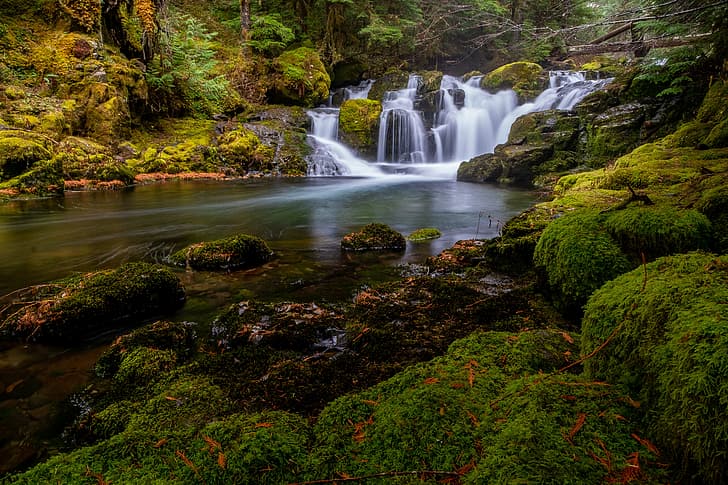 forest, river, stones, moss, waterfalls, cascade, Gifford Pinchot National Forest, Washington State, District Of Skamania, Washington, Skamania County, Curly Creek, HD wallpaper